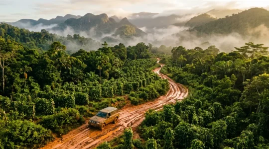 Véhicule 4x4 traversant une piste boueuse dans un paysage tropical avec végétation luxuriante